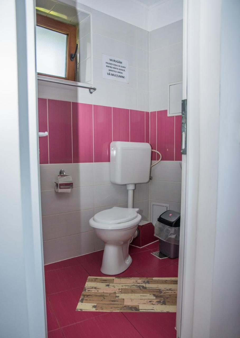 Vila Alegria Buşteni エクステリア 写真
