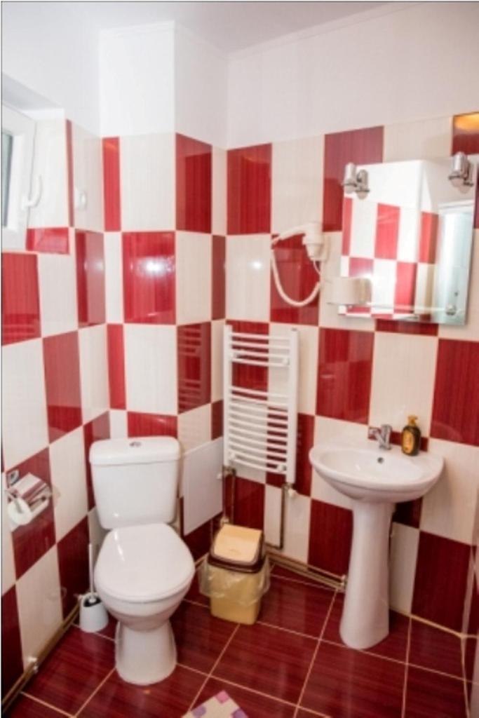 Vila Alegria Buşteni エクステリア 写真