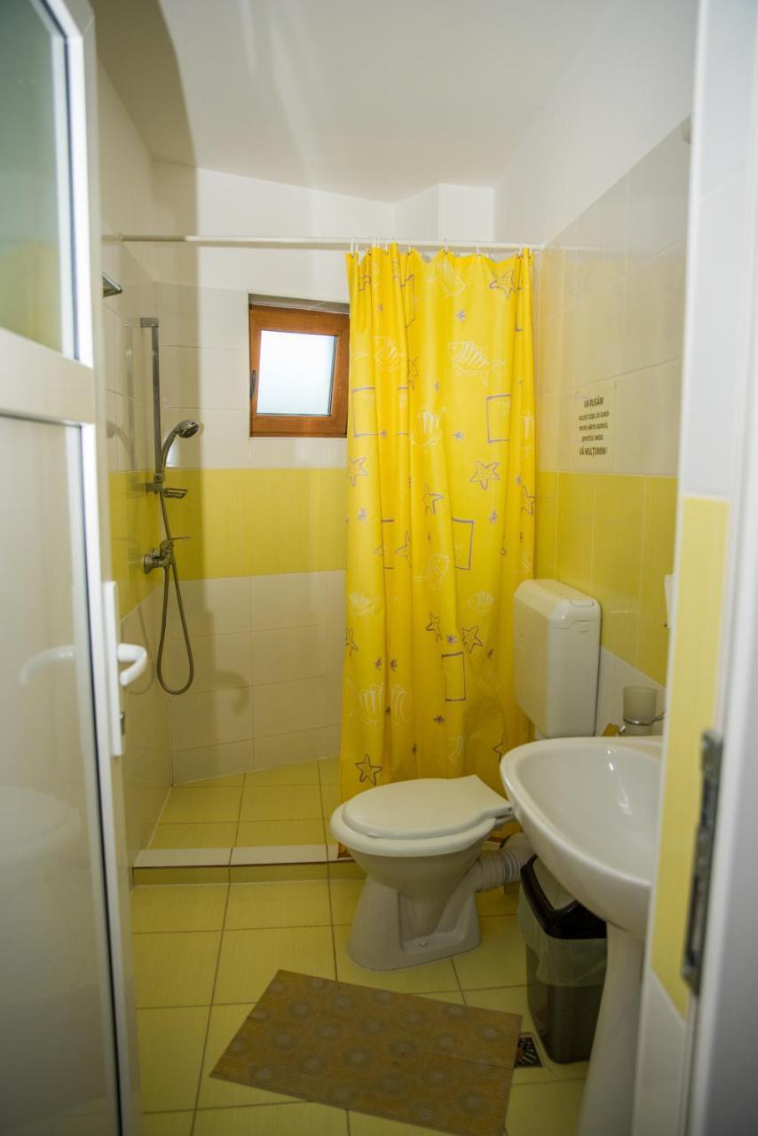 Vila Alegria Buşteni エクステリア 写真