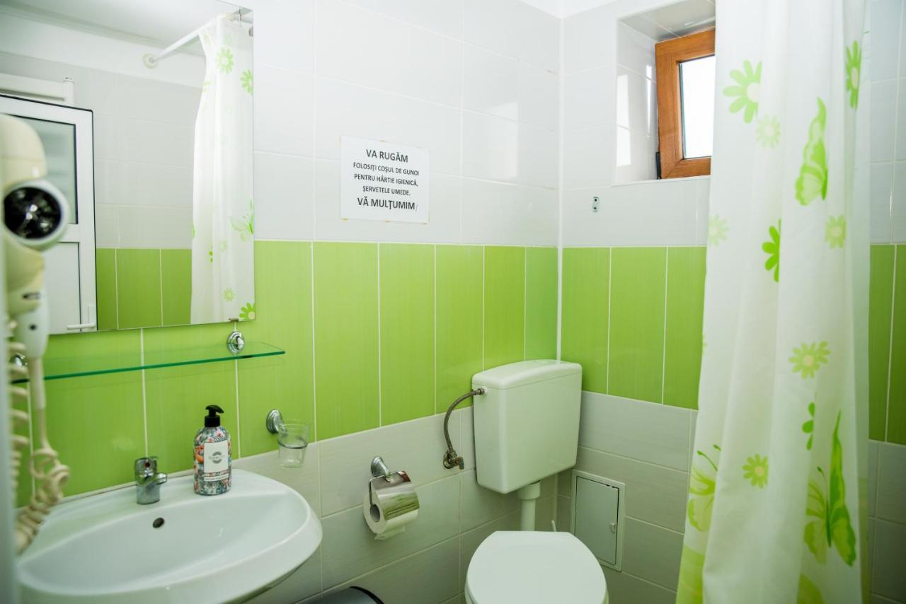 Vila Alegria Buşteni エクステリア 写真