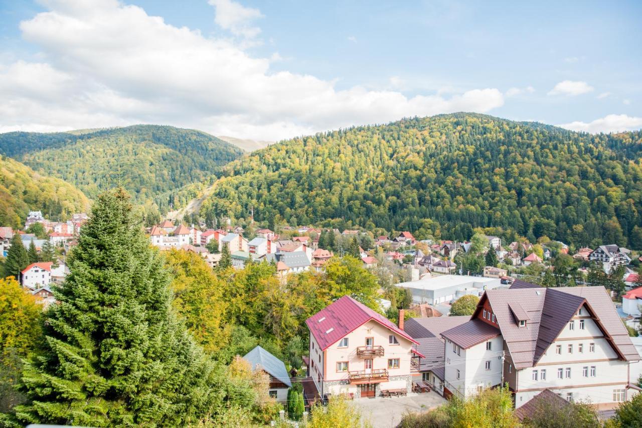 ホテル Vila Alegria Buşteni エクステリア 写真