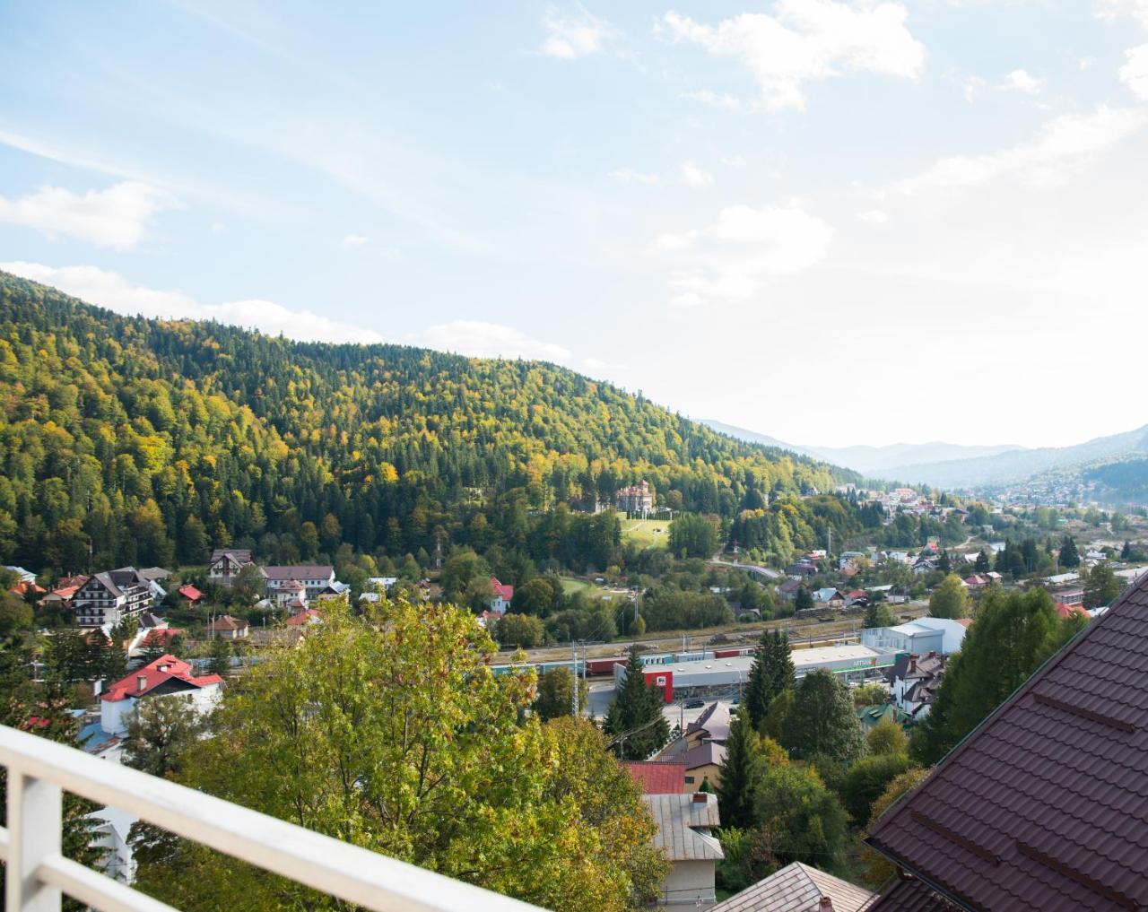 Vila Alegria Buşteni エクステリア 写真