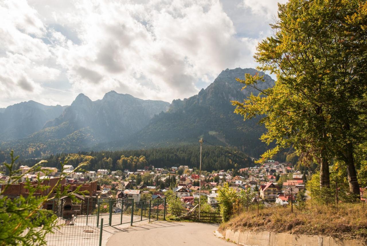 Vila Alegria Buşteni エクステリア 写真
