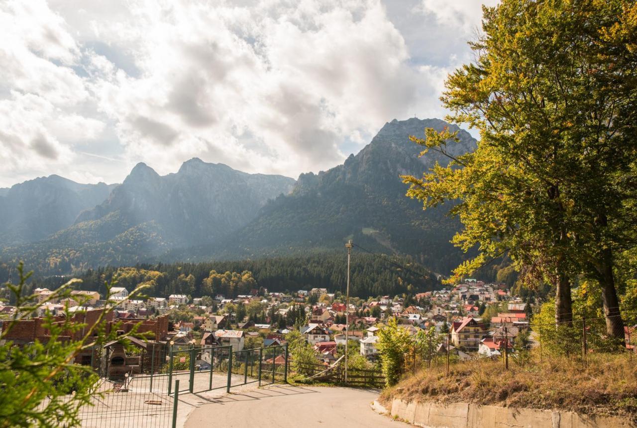 ホテル Vila Alegria Buşteni エクステリア 写真