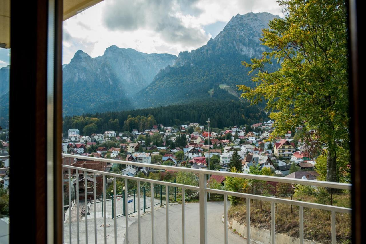 Vila Alegria Buşteni エクステリア 写真