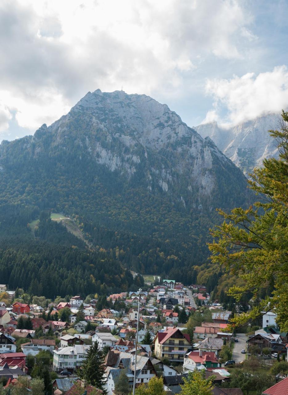 Vila Alegria Buşteni エクステリア 写真